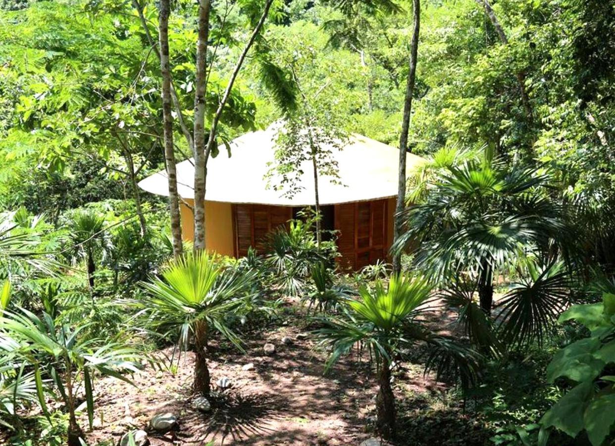 San Miguel del Puerto Reserva Ecologica Vive Copalitilla 빌라 외부 사진