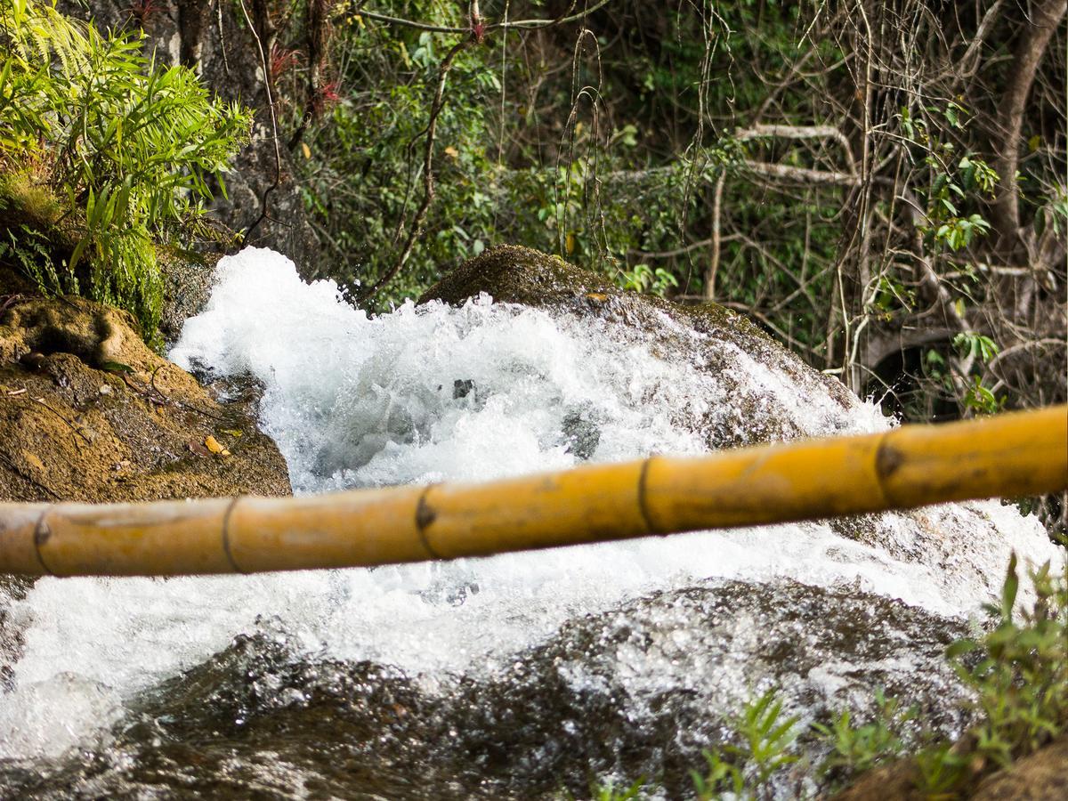 San Miguel del Puerto Reserva Ecologica Vive Copalitilla 빌라 외부 사진